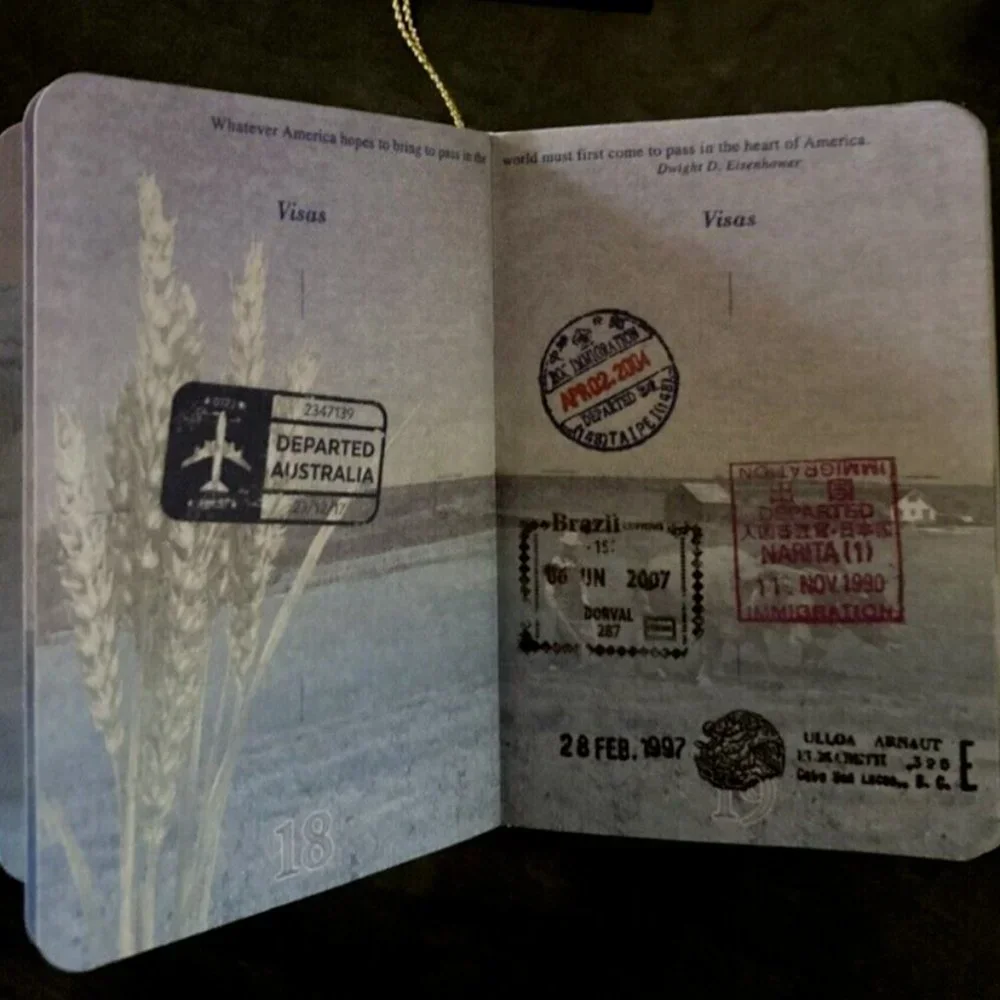 USA SANTA Passport Christmas Ornament ~ Realistic * World Travel ~ Wondershop - Picture 8 of 8